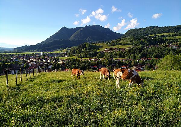 Ausblick oberhalb Binswangen auf Sonthofen
