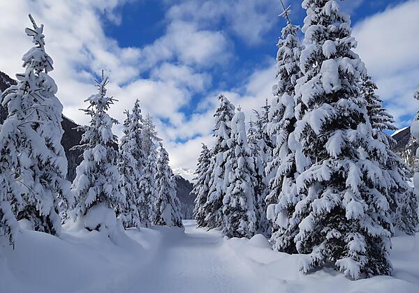 Winterwanderweg