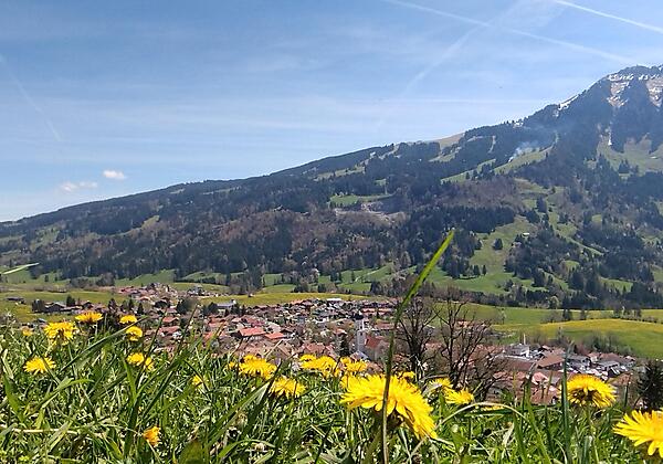 Unser Wächter des Allgäus