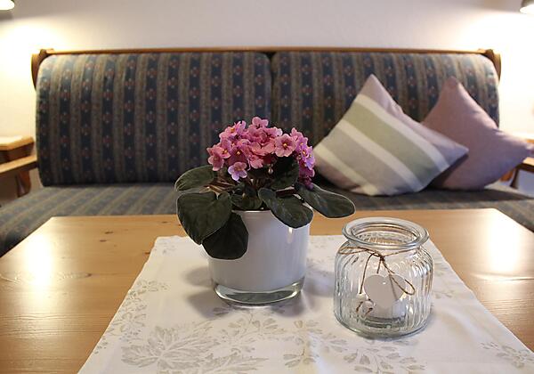 Wohnzimmer Fewo Frauenschuh(2)