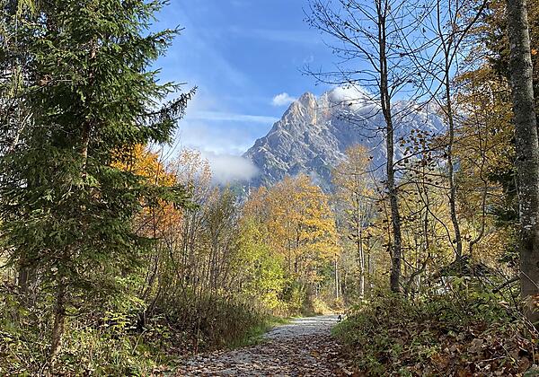 Herbst in Hinterthal