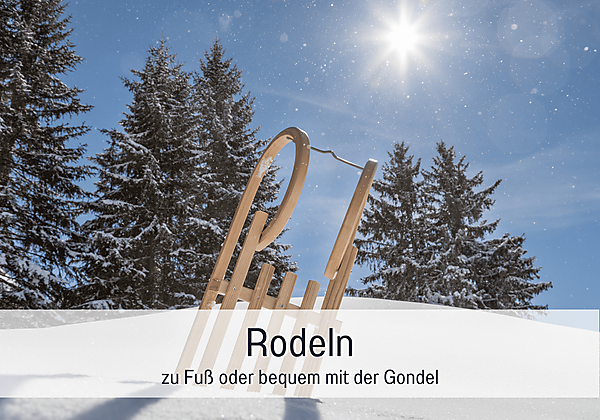 Rodeln