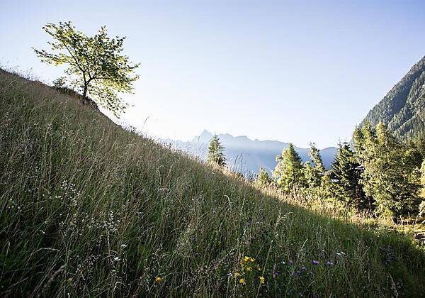 haderlehn_2016_72dpi_danielzangerl (31 von 81)