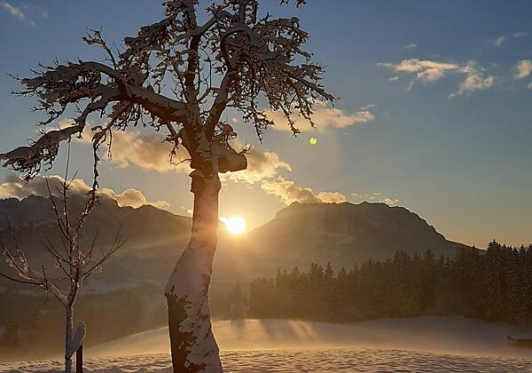 Späte Sonnenstrahlen