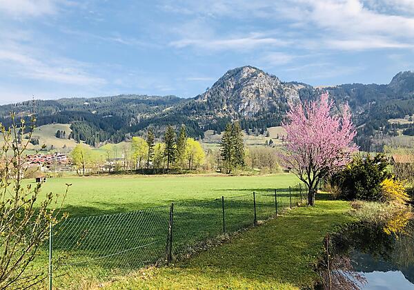 Frühling - Blick auf Hirschberg