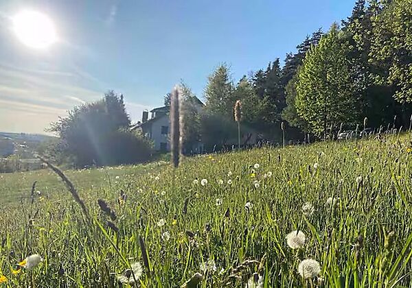 Fichtelraum – Dein Raum im Fichtelgebirge