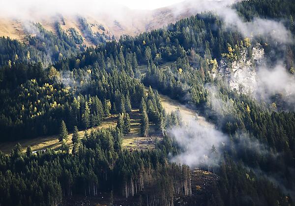 Franzls Panorama Appartements, Bad Gastein