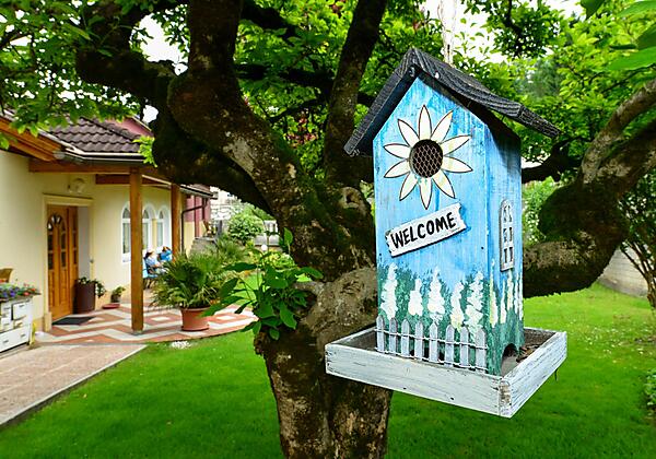 Zugang Gästebereich