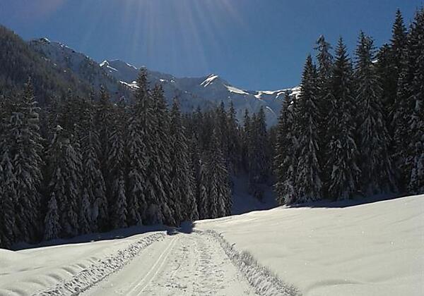 Die Loipe ist in unmittelbarer Nähe