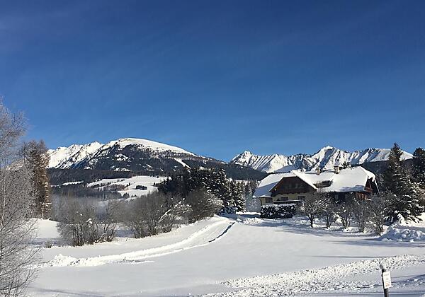 Gästehaus mit Rodelbahn (2)
