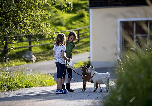 TomLamm_2668 - Kopie (2)