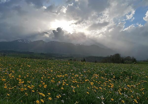 IMG_20240415_183115_resized_20250408_071413137