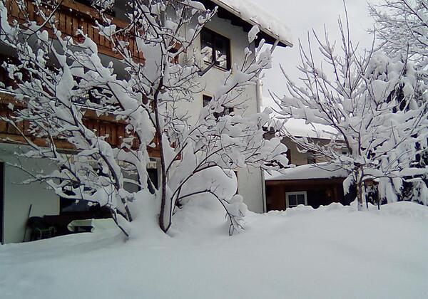 IMG_20190111_105804 (1)