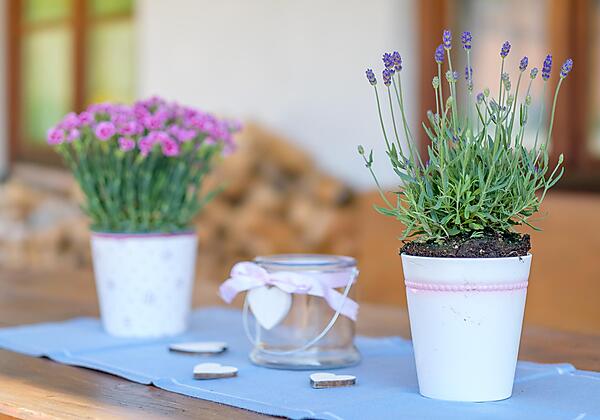 PVM20190524_28329_Greif