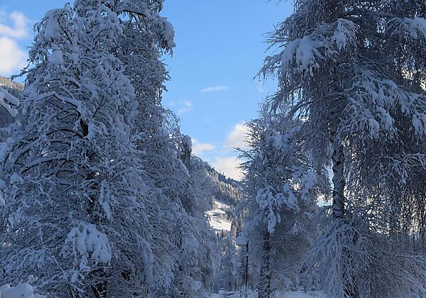 Verschneite Umgebung