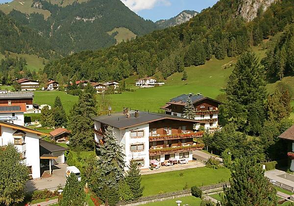 Seerose Panorama im Sommer