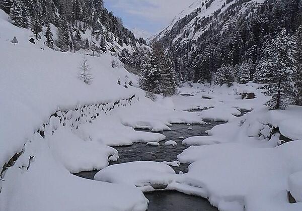 1932259_263978830437107_1286643787_n