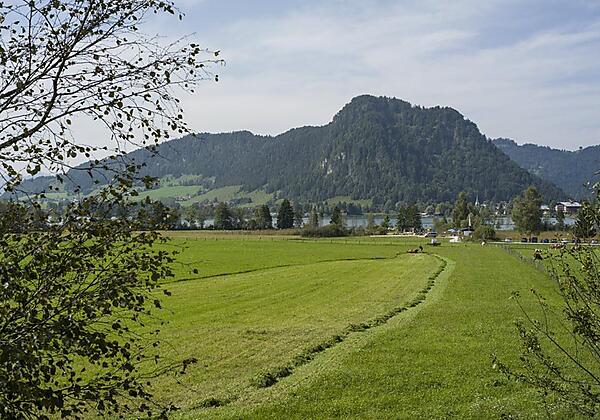Aussicht auf den See vom GH Weissenbach