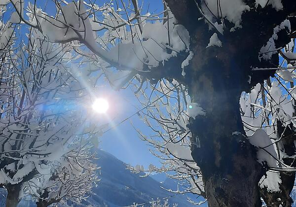 IMG_20240124_190100_184 (002)