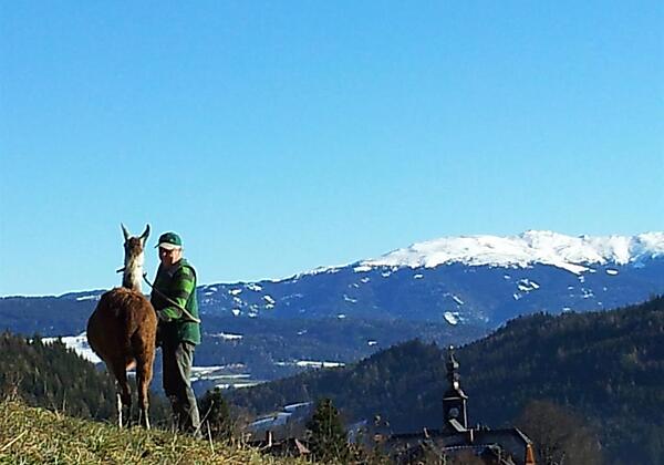 Seniorchef mit Lama Mandy