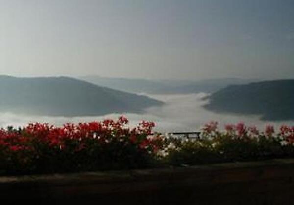 herbstlicher Blick vom Balkon