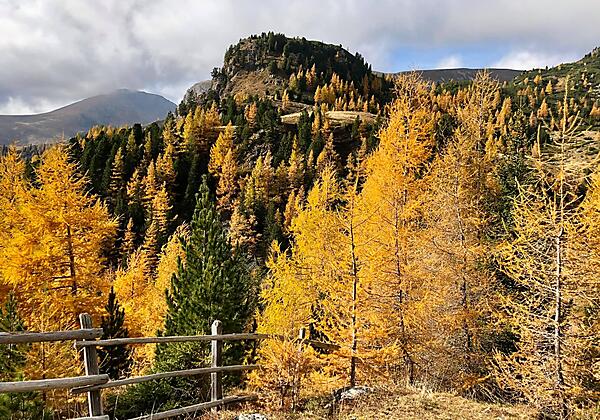 Herbst @barbaradrews (1)