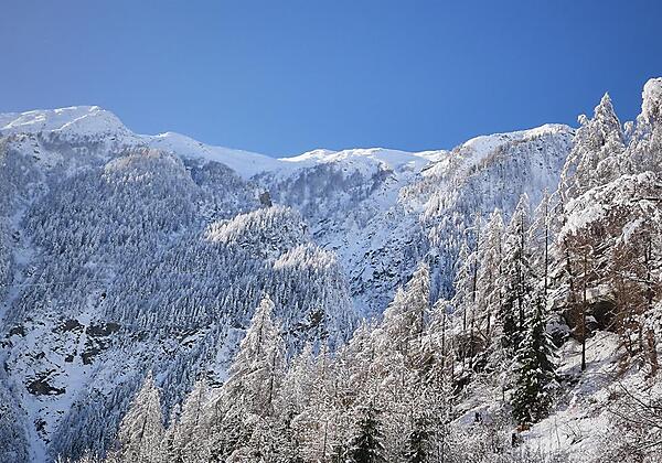 Glockner Chalet_2018_2 - Kopie