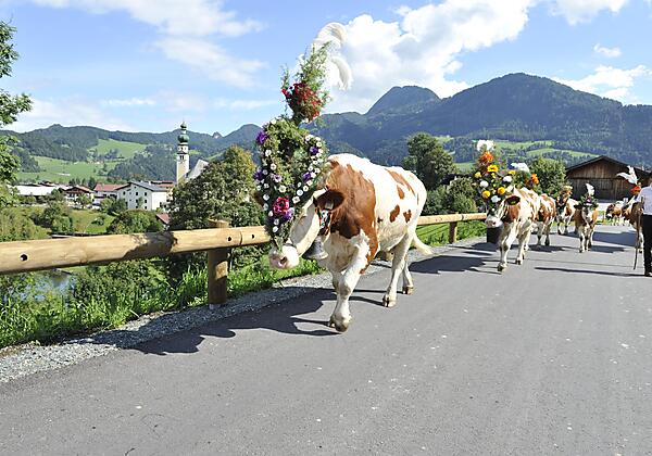 Almabtrieb Reith_2013_Alpbachtal Tourismus (51)