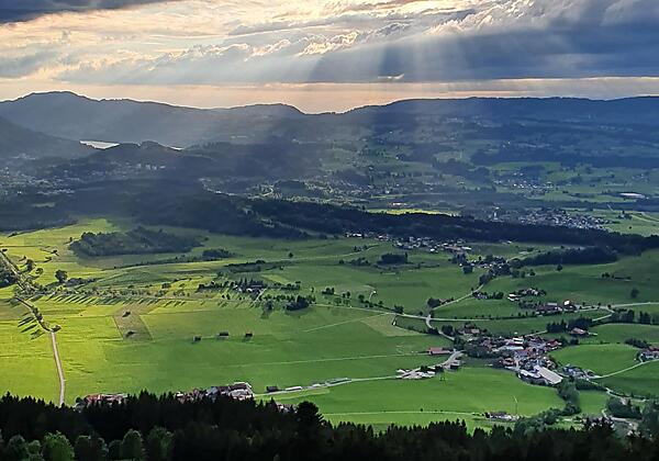 Abendstimmung - Alpe Kalkhöf