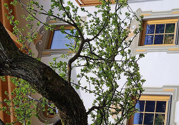 20230429_150239GstinighofDetail