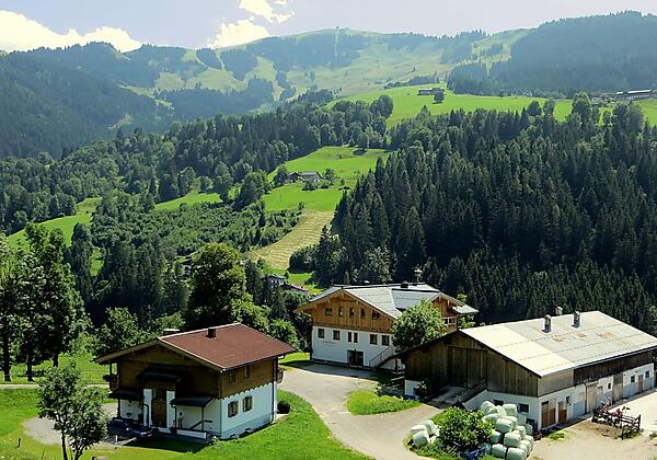 Bauernhaus mit Nebenhaus und Stall von oben