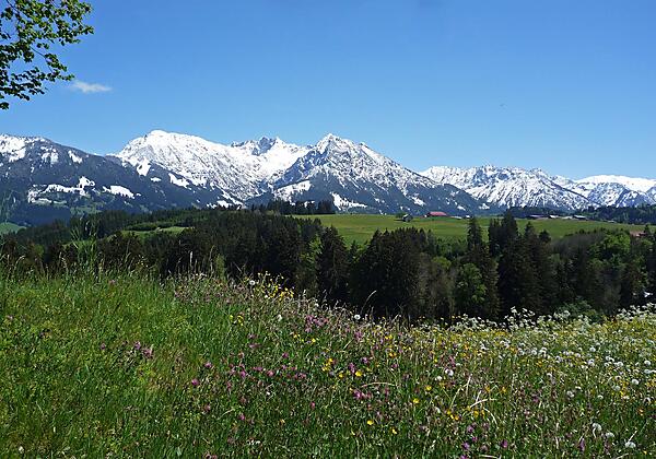 Bergpanorama im Allgäu