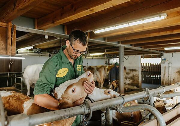 hattlerhof-stallarbeit-02
