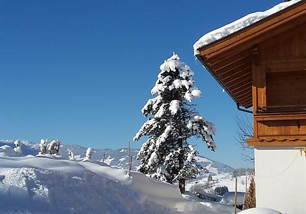 herrlicher_Wintertag