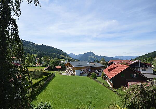 Ausblick - Silberdistel