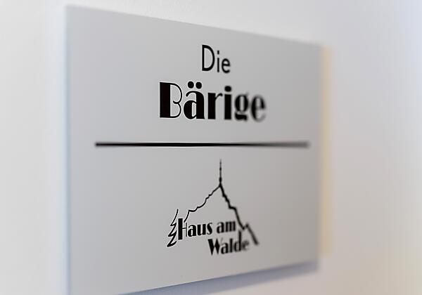 Haus_am_Walde_Mauthfeld_13_St_Johann_Appartement_D