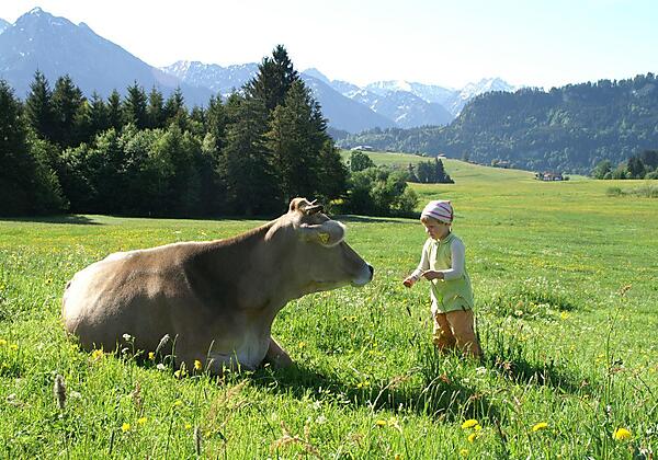 Spektakuläre Begegnungen direkt vor der Haustüre
