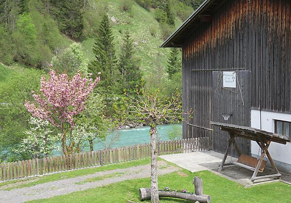 Blick in den Garten Nordseitig