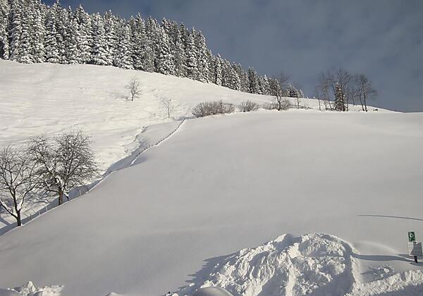 Ein wunderschöner Wintertag