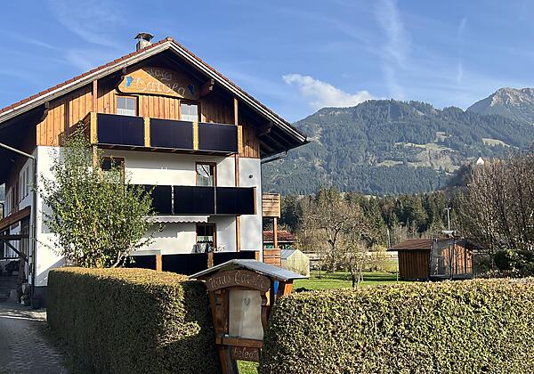 Hausbild mit Sonnenköpfe