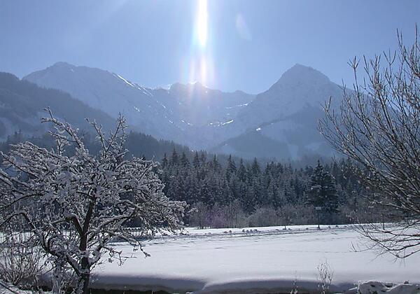 Winterblick Süd mit Bäumen - Haus Carola