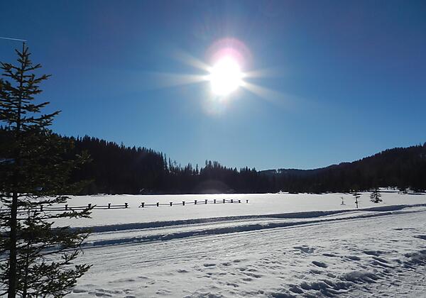 Winterwandern oder doch Langlaufen