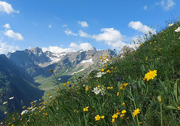 Die Berge im Lechtal