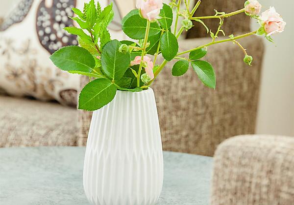 Fewo Typ B - Wohlfühlecke