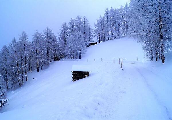 Winterlandschaft Gleins I