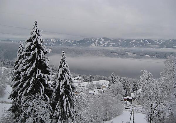 Blick auf den See im Nebel