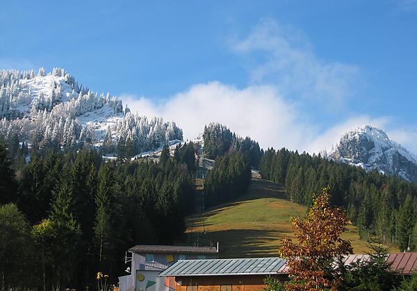 Spieser in Herbstlaune