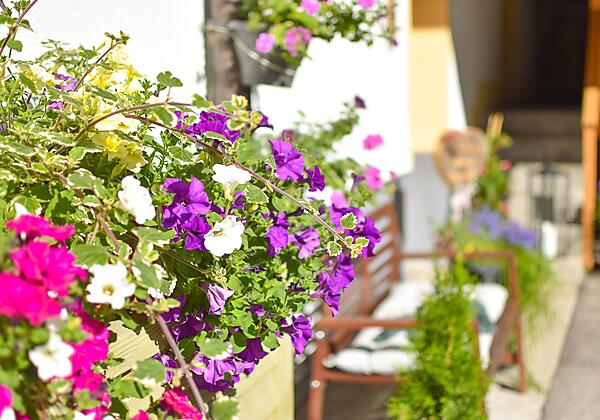 haus_franzi_haus_so-9