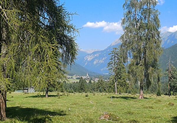Häselgehr Panorama Haus Kohler