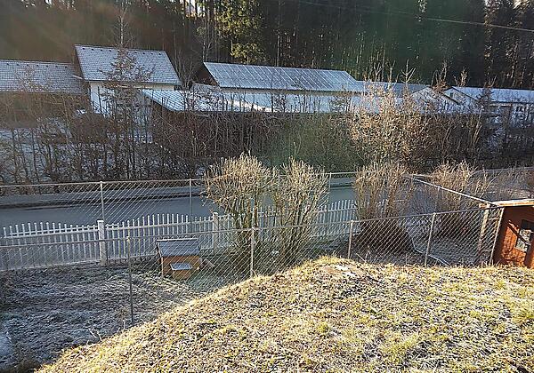 IMG-20250205-WA0039 (1)